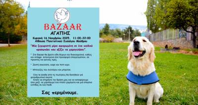 Μούδρος | Μπαζάρ Αγάπης για ένα μικρό κορίτσι που χρειάζεται τον δικό του σκύλο-φύλακα άγγελο