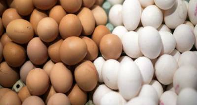 «Βαφτίζουν» ελληνικά εισαγόμενα αυγά αμφιβόλου ποιότητας - Αδράνεια των αρχών καταγγέλλουν οι παραγωγοί
