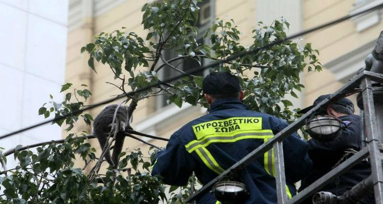 Επιχείρηση διάσωσης πριν λίγη ώρα στη Μύρινα...