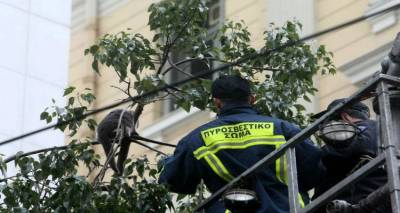 Επιχείρηση διάσωσης πριν λίγη ώρα στη Μύρινα...