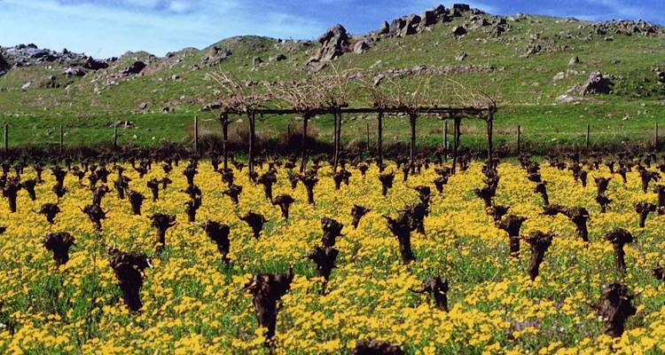 &Lambda;ή&mu;&nu;&omicron;&sigmaf;: &Sigma;&tau;&omicron;&nu; &laquo;&alpha;έ&rho;&alpha;&raquo; &epsilon;&pi;&iota;&delta;&omicron;&tau;ή&sigma;&epsilon;&iota;&sigmaf; &epsilon;&kappa;&alpha;&tau;&omicron;&nu;&tau;ά&delta;&omega;&nu; &chi;&iota;&lambda;&iota;ά&delta;&omega;&nu; &epsilon;&upsilon;&rho;ώ &gamma;&iota;&alpha; &alpha;&mu;&pi;&epsilon;&lambda;&omicron;&upsilon;&rho;&gamma;&omicron;ύ&sigmaf; &kappa;&alpha;&iota; &alpha;&gamma;&rho;ό&tau;&epsilon;&sigmaf; | &Alpha;&kappa;&iota;&nu;&eta;&tau;&omicron;&pi;&omicron;&iota;&eta;&mu;έ&nu;&omicron;&iota; &omicron;&iota; έ&lambda;&epsilon;&gamma;&chi;&omicron;&iota; &gamma;&epsilon;&omega;&pi;ό&nu;&omega;&nu; &lambda;ό&gamma;&omega; &omicron;&delta;&omicron;&iota;&pi;&omicron;&rho;&iota;&kappa;ώ&nu;