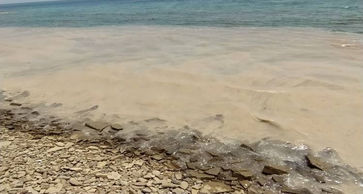 Συσκέψεις στο ΥΠΕΝ για το φαινόμενο της βλέννας στα παράλια της Λήμνου