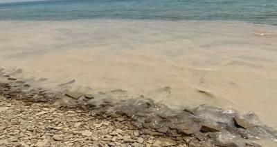 Συσκέψεις στο ΥΠΕΝ για το φαινόμενο της βλέννας στα παράλια της Λήμνου