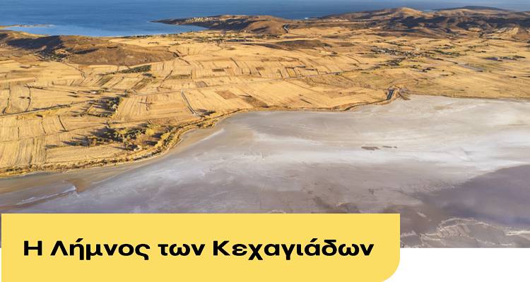 Cantina: &Eta; &Lambda;ή&mu;&nu;&omicron;&sigmaf; &tau;&omega;&nu; &Kappa;&epsilon;&chi;&alpha;&gamma;&iota;ά&delta;&omega;&nu;
