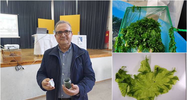 Ο Λημνιός Δρ. Σωτήρης Ορφανίδης μιλάει για το «Μαρούλι της Θάλασσας» | ΣΥΝΕΝΤΕΥΞΗ