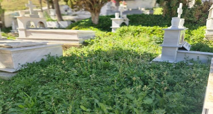 Κριτική στη Δημοτική αρχή από τον πρώην Πρόεδρο Δάφνης