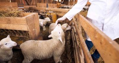 Ερώτηση Παρασκευαΐδη για την έλλειψη Κτηνιάτρου στην Π.Ε Λήμνου