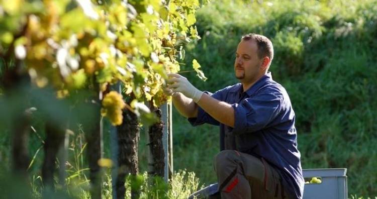 Η Ευρωπαϊκή Ένωση θα κρίνει την έγκριση των 129 επιλαχόντων νέων αγροτών του Νομού Λέσβου