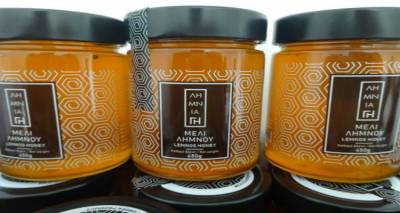 &Xi;&epsilon;&kappa;&iota;&nu;ά&epsilon;&iota; &eta; έ&rho;&epsilon;&upsilon;&nu;&alpha; &alpha;&nu;ά&delta;&epsilon;&iota;&xi;&eta;&sigmaf; &tau;&omicron;&upsilon; &mu;&epsilon;&lambda;&iota;&omicron;ύ &tau;&eta;&sigmaf; &Lambda;ή&mu;&nu;&omicron;&upsilon;