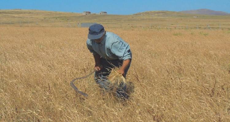 Παρουσίαση: «Ο φυτικός πλούτος της Λήμνου - Πηγή ευημερίας για την τοπική κοινωνία»