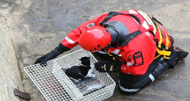 Επιχείρηση διάσωσης γάτας στην πλατεία ΚΤΕΛ της Μύρινας