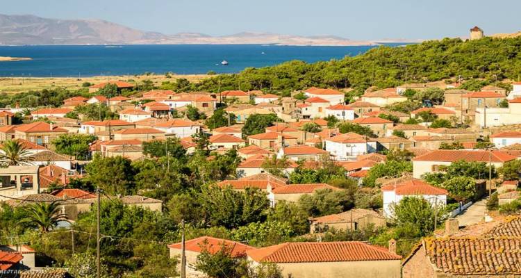 Ρωμανού: Τα αποτελέσματα της τοπικής κοινότητας