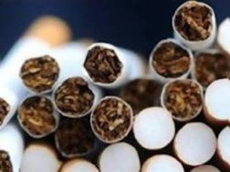 274.059 &lambda;&alpha;&theta;&rho;&alpha;ί&alpha; &pi;&alpha;&kappa;έ&tau;&alpha; &tau;&sigma;&iota;&gamma;ά&rho;&alpha; &epsilon;&nu;&tau;&omicron;&pi;ί&sigma;&tau;&eta;&kappa;&alpha;&nu; &alpha;&pi;ό ά&nu;&tau;&rho;&epsilon;&sigmaf; &tau;&omicron;&upsilon; &Lambda;&iota;&mu;&epsilon;&nu;&iota;&kappa;&omicron;ύ
