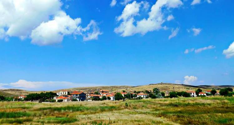 Λύχνα: Τα αποτελέσματα της τοπικής κοινότητας