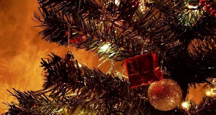 Σε γιορτινή διάθεση το Λύκειο Ελληνίδων Λήμνου