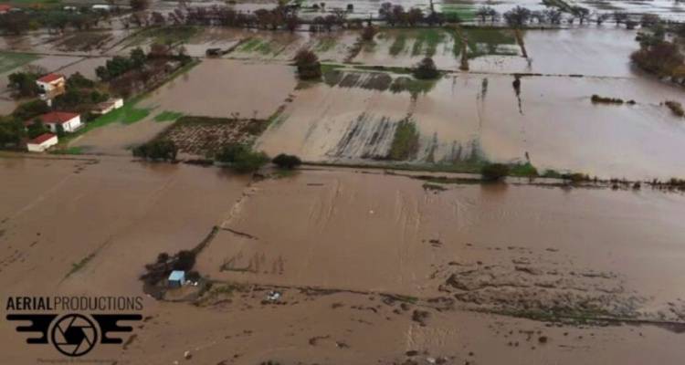 &Mu;&eta;&delta;&epsilon;&nu;&iota;&kappa;ή &epsilon;&nu;&sigma;&upsilon;&nu;&alpha;ί&sigma;&theta;&eta;&sigma;&eta; &kappa;&alpha;&iota; &alpha;&lambda;&lambda;&eta;&lambda;&epsilon;&gamma;&gamma;ύ&eta;