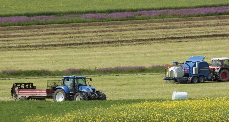 «Δεν θα πληρωθούν το Πάσχα οι στρεμματικές ενισχύσεις στους αγρότες»