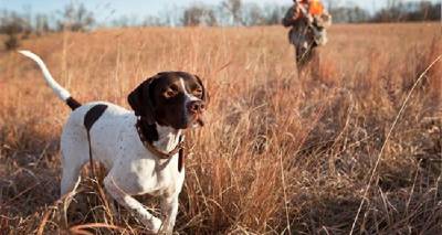 &Kappa;&upsilon;&nu;&eta;&gamma;&epsilon;&tau;&iota;&kappa;ό&sigmaf; &amp; &Kappa;&upsilon;&nu;&omicron;&phi;&iota;&lambda;&iota;&kappa;ό&sigmaf; &Sigma;ύ&lambda;&lambda;&omicron;&gamma;&omicron;&sigmaf; &Lambda;ή&mu;&nu;&omicron;&upsilon;: &Sigma;&upsilon;&gamma;&kappa;έ&nu;&tau;&rho;&omega;&sigma;&eta; &delta;&iota;&alpha;&mu;&alpha;&rho;&tau;&upsilon;&rho;ί&alpha;&sigmaf; &epsilon;&nu;ά&nu;&tau;&iota;&alpha; &sigma;&tau;&omicron; &nu;&omicron;&mu;&omicron;&sigma;&chi;έ&delta;&iota;&omicron; &gamma;&iota;&alpha; &tau;&alpha; &zeta;ώ&alpha; &sigma;&upsilon;&nu;&tau;&rho;&omicron;&phi;&iota;ά&sigmaf;