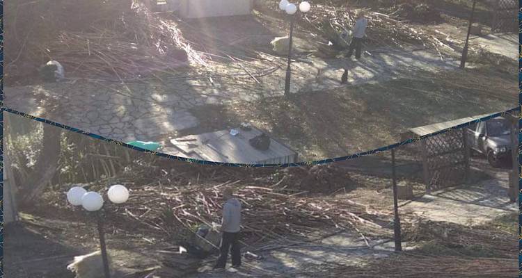 &Theta;έ&rho;&mu;&alpha;: &Mu;&epsilon;&tau;ά &alpha;&pi;ό &chi;&rho;ό&nu;&iota;&alpha; &epsilon;&gamma;&kappa;&alpha;&tau;ά&lambda;&epsilon;&iota;&psi;&eta;&sigmaf;, &epsilon;&pi;&iota;&tau;έ&lambda;&omicron;&upsilon;&sigmaf; &kappa;ά&tau;&iota; &laquo;&kappa;&iota;&nu;&epsilon;ί&tau;&alpha;&iota;&raquo;