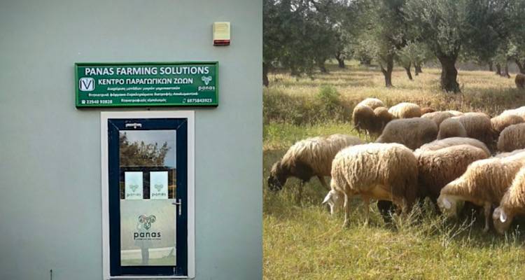 PANAS FARMING SOLUTIONS: &Tau;&alpha; &alpha;&pi;&omicron;&tau;&epsilon;&lambda;έ&sigma;&mu;&alpha;&tau;&alpha; &tau;&eta;&sigmaf; &Epsilon;&upsilon;&lambda;&omicron;&gamma;&iota;ά&sigmaf; &sigma;&tau;&eta; &Lambda;ή&mu;&nu;&omicron; &theta;&alpha; &epsilon;ί&nu;&alpha;&iota; &pi;&omicron;&lambda;ύ &chi;&epsilon;&iota;&rho;ό&tau;&epsilon;&rho;&alpha; &alpha;&pi;ό &alpha;&upsilon;&tau;ά &tau;&eta;&sigmaf; &pi;&rho;ό&sigma;&phi;&alpha;&tau;&eta;&sigmaf; &theta;&epsilon;&omicron;&mu;&eta;&nu;ί&alpha;&sigmaf; &pi;&omicron;&upsilon; έ&pi;&lambda;&eta;&xi;&epsilon; &tau;&omicron; &nu;&eta;&sigma;ί