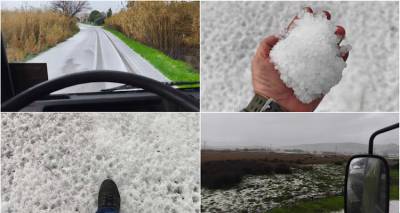 &Chi;&alpha;&lambda;ά&zeta;&iota; &laquo;έ&nu;&tau;&upsilon;&sigma;&epsilon;&raquo; &sigma;&tau;&alpha; &lambda;&epsilon;&upsilon;&kappa;ά &tau;&omicron; &Rho;&omega;&mu;&alpha;&nu;&omicron;ύ &mu;έ&sigma;&alpha; &sigma;&epsilon; &lambda;ί&gamma;&alpha; &lambda;&epsilon;&pi;&tau;ά!