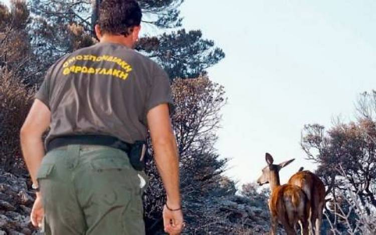 Πρόσληψη θηροφύλακα στη Λήμνο