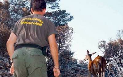 Πρόσληψη θηροφύλακα στη Λήμνο