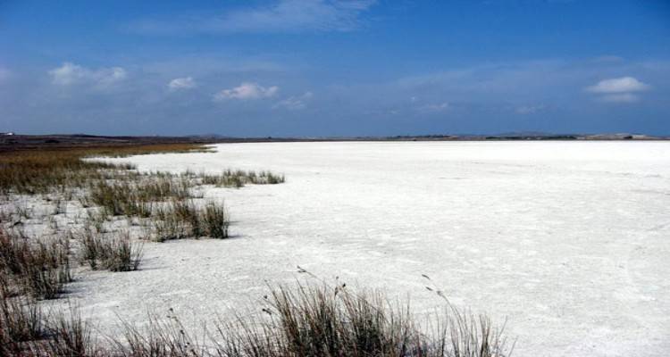 &Alpha;&lambda;ά&tau;&iota; &alpha;&pi;ό &tau;&eta;&nu; &Alpha;&lambda;&upsilon;&kappa;ή &tau;&eta;&sigmaf; &Lambda;ή&mu;&nu;&omicron;&upsilon;