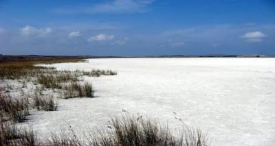 &Alpha;&lambda;ά&tau;&iota; &alpha;&pi;ό &tau;&eta;&nu; &Alpha;&lambda;&upsilon;&kappa;ή &tau;&eta;&sigmaf; &Lambda;ή&mu;&nu;&omicron;&upsilon;