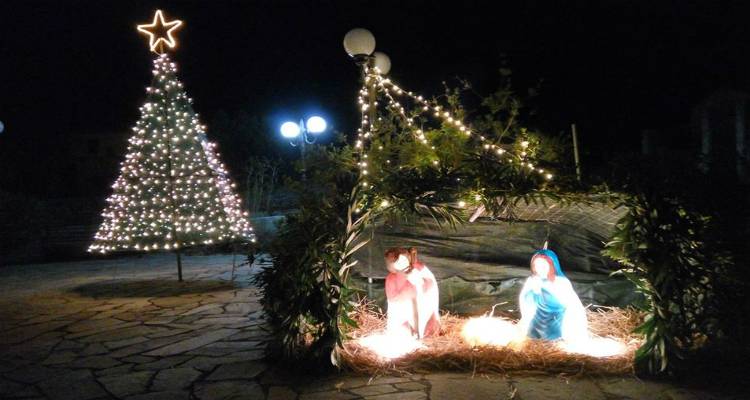 &Phi;&omega;&tau;&alpha;&gamma;ώ&gamma;&eta;&sigma;&eta; &Chi;&rho;&iota;&sigma;&tau;&omicron;&upsilon;&gamma;&epsilon;&nu;&nu;&iota;ά&tau;&iota;&kappa;&omicron;&upsilon; &delta;έ&nu;&tau;&rho;&omicron;&upsilon; &sigma;&tau;&omicron;&nu; &Mu;&omicron;ύ&delta;&rho;&omicron;