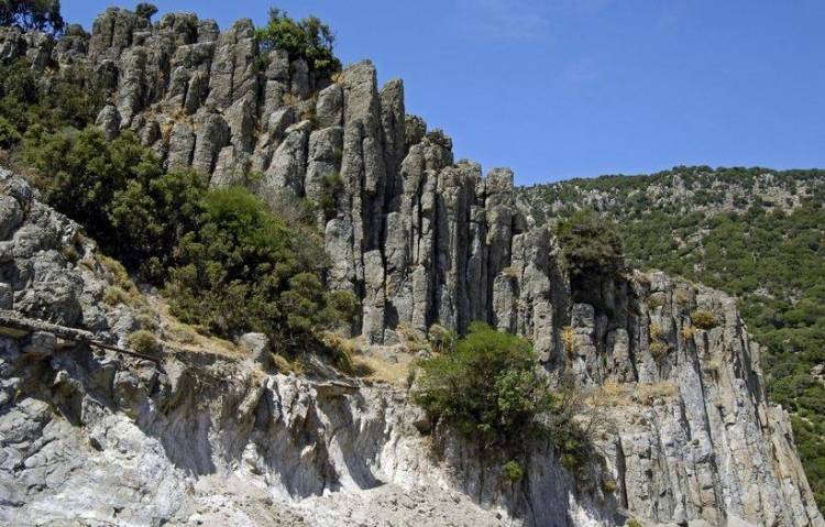 20 Ιάπωνες μαθητές στη Μυτιλήνη για... «βιωματική μάθηση»!