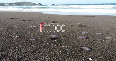 &Lambda;ή&mu;&nu;&omicron;&sigmaf;: &Gamma;έ&mu;&iota;&sigma;&epsilon; &mu;έ&delta;&omicron;&upsilon;&sigma;&epsilon;&sigmaf; &eta; &pi;&alpha;&rho;&alpha;&lambda;ί&alpha; &tau;&omicron;&upsilon; &Alpha;&upsilon;&lambda;ώ&nu;&alpha; (photos)