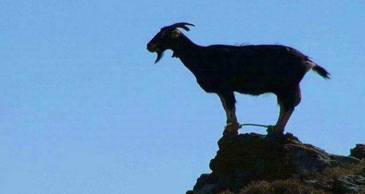 &Sigma;&upsilon;&nu;&epsilon;&lambda;ή&phi;&theta;&eta; &gamma;&upsilon;&nu;&alpha;ί&kappa;&alpha; &sigma;&tau;&omicron;&nu; &Pi;&omicron;&lambda;&iota;&chi;&nu;ί&tau;&omicron; &gamma;&iota;&alpha; &kappa;&alpha;&kappa;&omicron;&mu;&epsilon;&tau;&alpha;&chi;&epsilon;ί&rho;&iota;&sigma;&eta; &kappa;&alpha;&tau;&sigma;&iota;&kappa;&iota;ώ&nu;