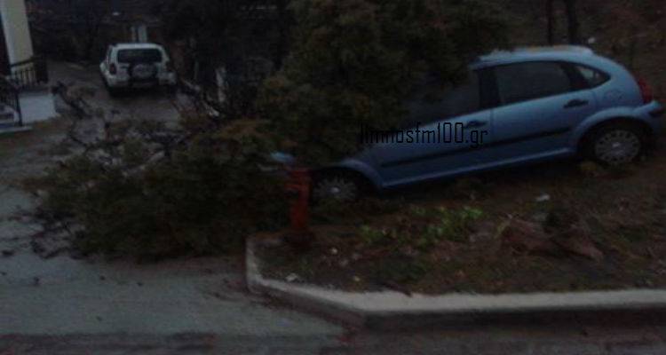 &Delta;έ&nu;&tau;&rho;&omicron; &kappa;&alpha;&tau;&alpha;&pi;&lambda;ά&kappa;&omega;&sigma;&epsilon; &alpha;&upsilon;&tau;&omicron;&kappa;ί&nu;&eta;&tau;&omicron; &sigma;&tau;&eta; &Mu;ύ&rho;&iota;&nu;&alpha; (photo)