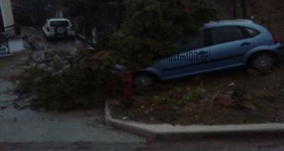 &Delta;έ&nu;&tau;&rho;&omicron; &kappa;&alpha;&tau;&alpha;&pi;&lambda;ά&kappa;&omega;&sigma;&epsilon; &alpha;&upsilon;&tau;&omicron;&kappa;ί&nu;&eta;&tau;&omicron; &sigma;&tau;&eta; &Mu;ύ&rho;&iota;&nu;&alpha; (photo)