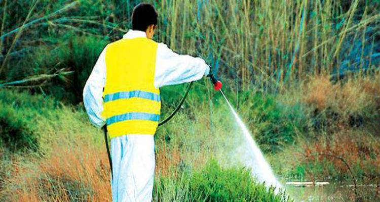 Έ&omega;&sigmaf; 13 &Mu;&alpha;ΐ&omicron;&upsilon; &omicron;&iota; &pi;&rho;&omicron;&sigma;&phi;&omicron;&rho;έ&sigmaf; &gamma;&iota;&alpha; &tau;&omicron; &pi;&rho;ό&gamma;&rho;&alpha;&mu;&mu;&alpha; &kappa;&alpha;&tau;&alpha;&pi;&omicron;&lambda;έ&mu;&eta;&sigma;&eta;&sigmaf; &kappa;&omicron;&upsilon;&nu;&omicron;&upsilon;&pi;&iota;ώ&nu; &sigma;&tau;&eta; &Lambda;ή&mu;&nu;&omicron;