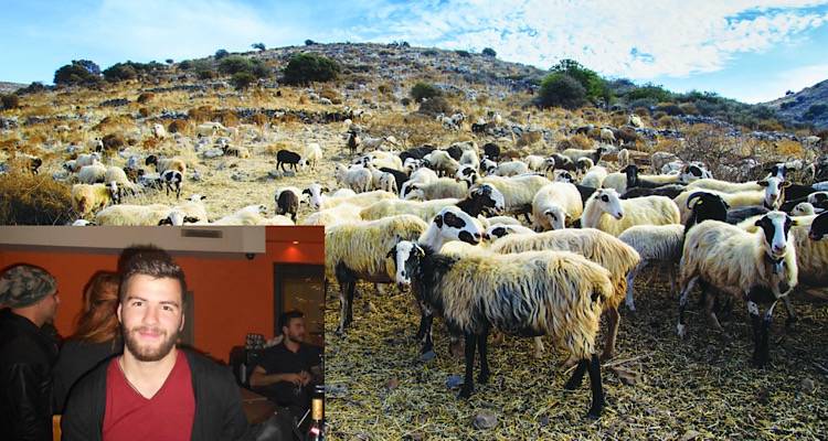 Γ. Τζαριμής: «Σταματήστε τις εισαγωγές ζωοτροφών, πρέπει πάση θυσία να αποφύγουμε στη Λήμνο κρούσμα ευλογιάς» ΣΥΝΕΝΤΕΥΞΗ