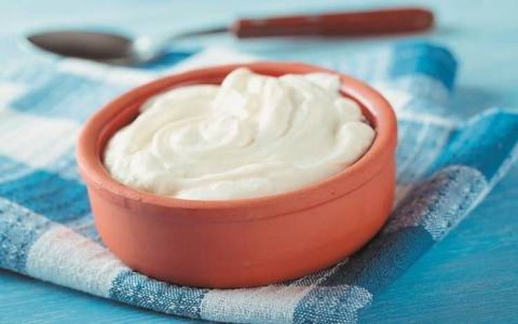 Ελληνικό γιαούρτι στα σχολεία των ΗΠΑ