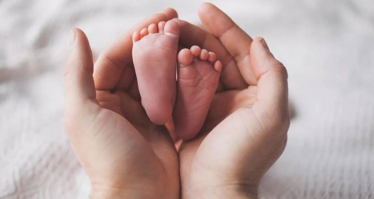 &Alpha;&mu;&alpha;&lambda;&iota;ά&delta;&alpha;: &Eta; 24&chi;&rho;&omicron;&nu;&eta; &pi;&rho;&omicron;&sigma;ή&lambda;&theta;&epsilon; &alpha;&upsilon;&tau;&omicron;&beta;&omicron;ύ&lambda;&omega;&sigmaf; &gamma;&iota;&alpha; &sigma;&upsilon;&mu;&pi;&lambda;&eta;&rho;&omega;&mu;&alpha;&tau;&iota;&kappa;ή &kappa;&alpha;&tau;ά&theta;&epsilon;&sigma;&eta; | &laquo;Ή&tau;&alpha;&nu; &zeta;&omega;&nu;&tau;&alpha;&nu;ό &tau;&omicron; &beta;&rho;έ&phi;&omicron;&sigmaf; ό&tau;&alpha;&nu; ή&rho;&theta;&epsilon; &tau;&omicron; &Epsilon;&Kappa;&Alpha;&Beta;&raquo;