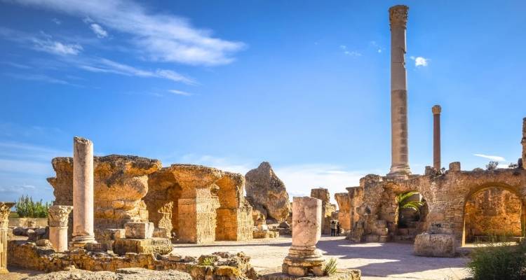 Επιστήμονες στο Χάρβαρντ λένε ότι το DNA των κατοίκων της αρχαίας Καρχηδόνας ήταν περισσότερο ελληνικό παρά φοινικικό