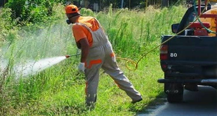 Έ&omega;&sigmaf; 26 &Mu;&alpha;ΐ&omicron;&upsilon; &omicron;&iota; &pi;&rho;&omicron;&sigma;&phi;&omicron;&rho;έ&sigmaf; &gamma;&iota;&alpha; &tau;&omicron; &pi;&rho;ό&gamma;&rho;&alpha;&mu;&mu;&alpha; &kappa;&alpha;&tau;&alpha;&pi;&omicron;&lambda;έ&mu;&eta;&sigma;&eta;&sigmaf; &kappa;&omicron;&upsilon;&nu;&omicron;&upsilon;&pi;&iota;ώ&nu; &sigma;&tau;&eta; &Lambda;ή&mu;&nu;&omicron;