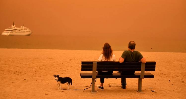 &Kappa;&alpha;&mu;&pi;&alpha;&nu;ά&kappa;&iota; &Kappa;&alpha;&nu;&tau;&epsilon;&rho;έ &gamma;&iota;&alpha; 7ή&mu;&epsilon;&rho;&eta; &epsilon;&pi;έ&lambda;&alpha;&sigma;&eta; &alpha;&phi;&rho;&iota;&kappa;&alpha;&nu;&iota;&kappa;ή&sigmaf; &sigma;&kappa;ό&nu;&eta;&sigmaf; | &Theta;&alpha; έ&chi;&epsilon;&iota; &zeta;έ&sigma;&tau;&eta;, ό&chi;&iota; &kappa;&alpha;ύ&sigma;&omega;&nu;&alpha;, &tau;&iota; &pi;&rho;&omicron;&beta;&lambda;έ&pi;&epsilon;&iota;