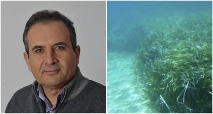 Φωτογραφίες: Σωτήρης Ορφανίδης, Posidonia Oceanica - lemnosnature.gr