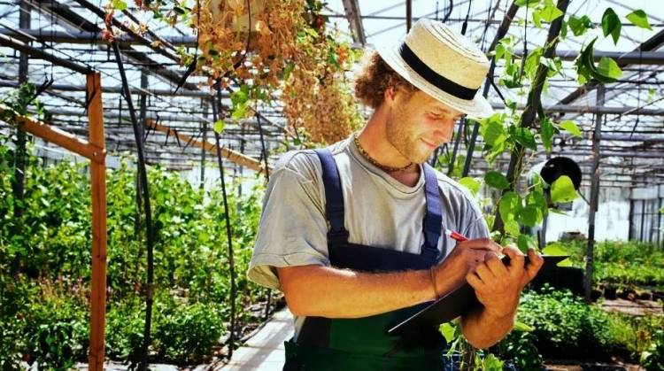 Επενδυτικές ευκαιρίες στη Λήμνο με ενίσχυση 50%