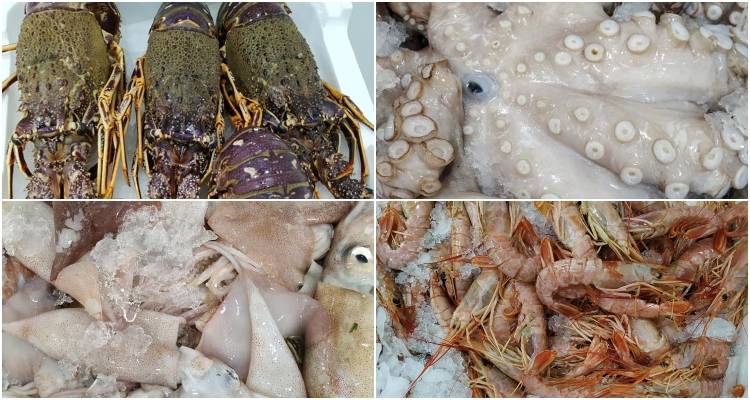 Ιχθυοπωλείο &quot;Fishαλίδες&quot; στη Λήμνο: Φρέσκα θαλασσινά για το τραπέζι της Καθαράς Δευτέρας!