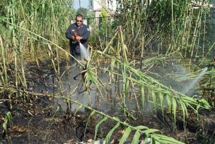 Φωτιά από τσιγάρο εχθές στη Λήμνο