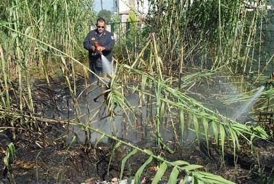 Φωτιά από τσιγάρο εχθές στη Λήμνο