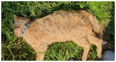 &Phi;ό&lambda;&epsilon;&sigmaf; &sigma;&tau;&omicron;&nu; Ά&gamma;&iota;&omicron; &Delta;&eta;&mu;ή&tau;&rho;&iota;&omicron;