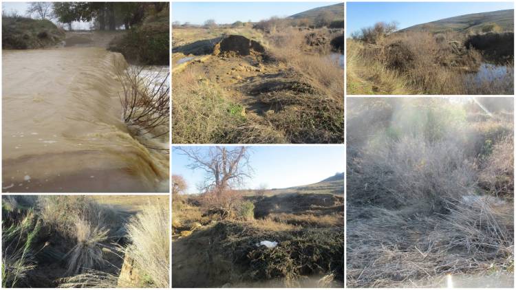 &Eta; Bora &pi;έ&rho;&alpha;&sigma;&epsilon;! &Mu;&alpha;&sigmaf; έ&mu;&alpha;&theta;&epsilon; &pi;&omega;&sigmaf; &eta; &alpha;&mu;έ&lambda;&epsilon;&iota;&alpha; &kappa;&alpha;&iota; &eta; &alpha;&delta;&rho;ά&nu;&epsilon;&iota;&alpha; &delta;&epsilon;&nu; &sigma;&upsilon;&gamma;&chi;&omega;&rho;&omicron;ύ&nu;&tau;&alpha;&iota;;