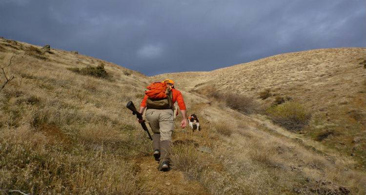 &Mu;ή&nu;&upsilon;&sigma;&eta; &gamma;&iota;&alpha; &lambda;&alpha;&theta;&rho;&omicron;&theta;&eta;&rho;ί&alpha; &sigma;&tau;&eta; &Lambda;ή&mu;&nu;&omicron;